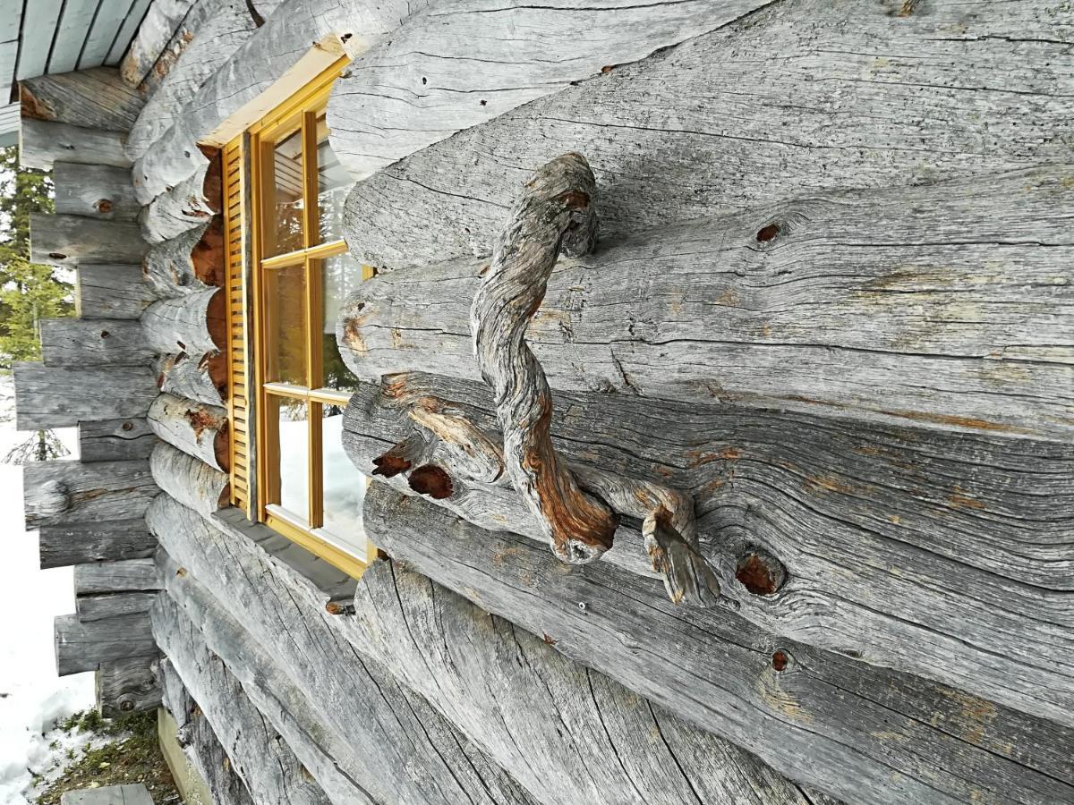 Logwood Chalet Luosto Eksteriør billede