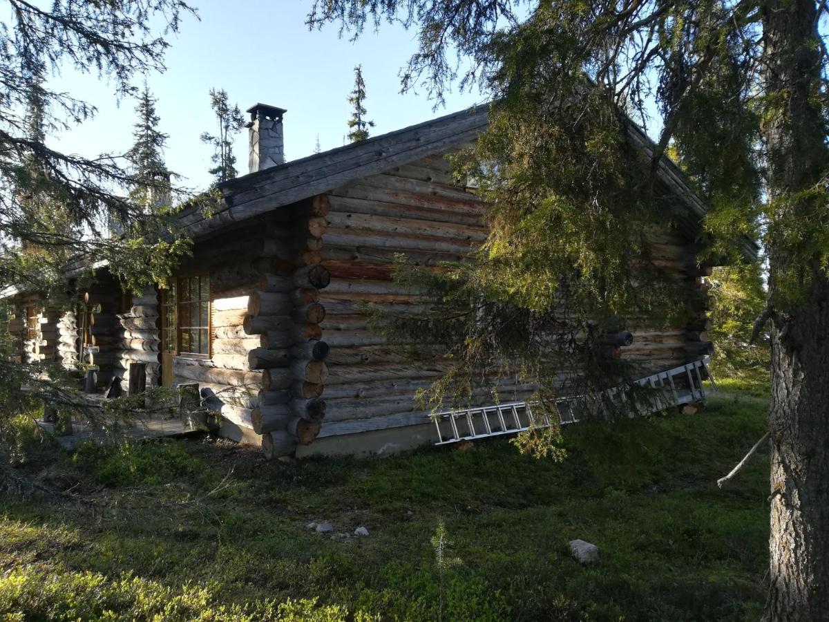 Logwood Chalet Luosto Eksteriør billede