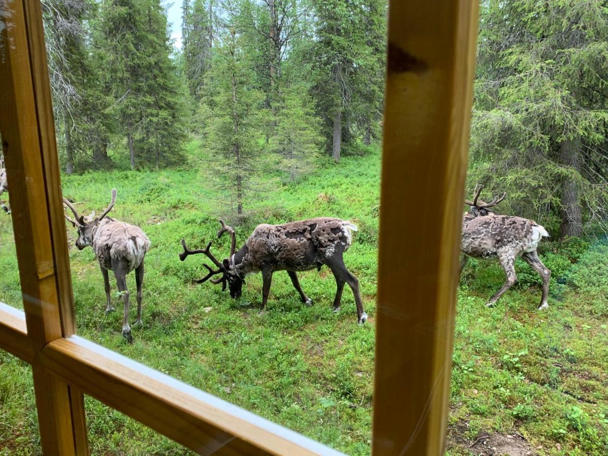 Logwood Chalet Luosto Eksteriør billede