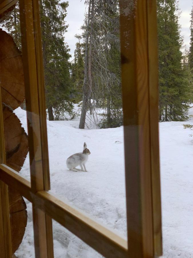 Logwood Chalet Luosto Eksteriør billede