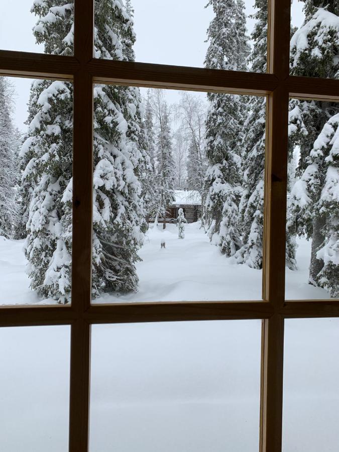 Logwood Chalet Luosto Eksteriør billede